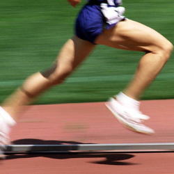 �V���X�v�����g