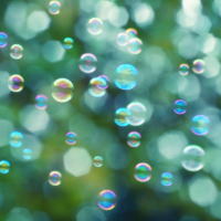 �����������������C���[�W